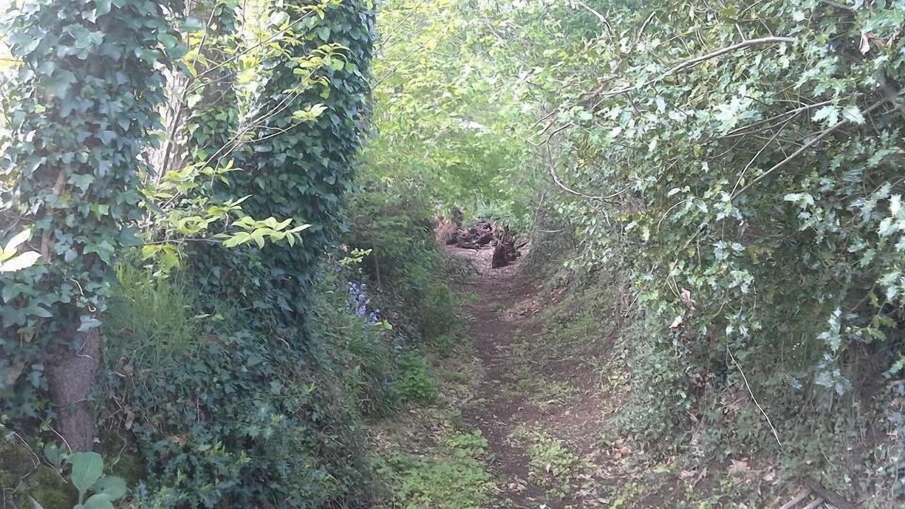 Photo of Others in Colombiers-du-Plessis