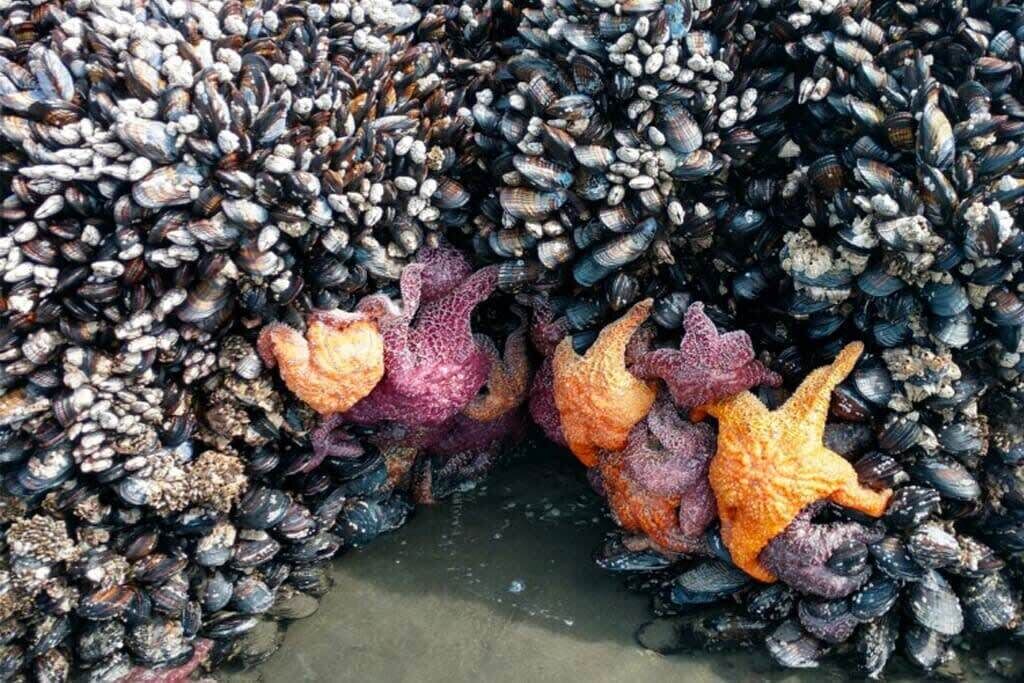 Photo of Others in Gold Beach