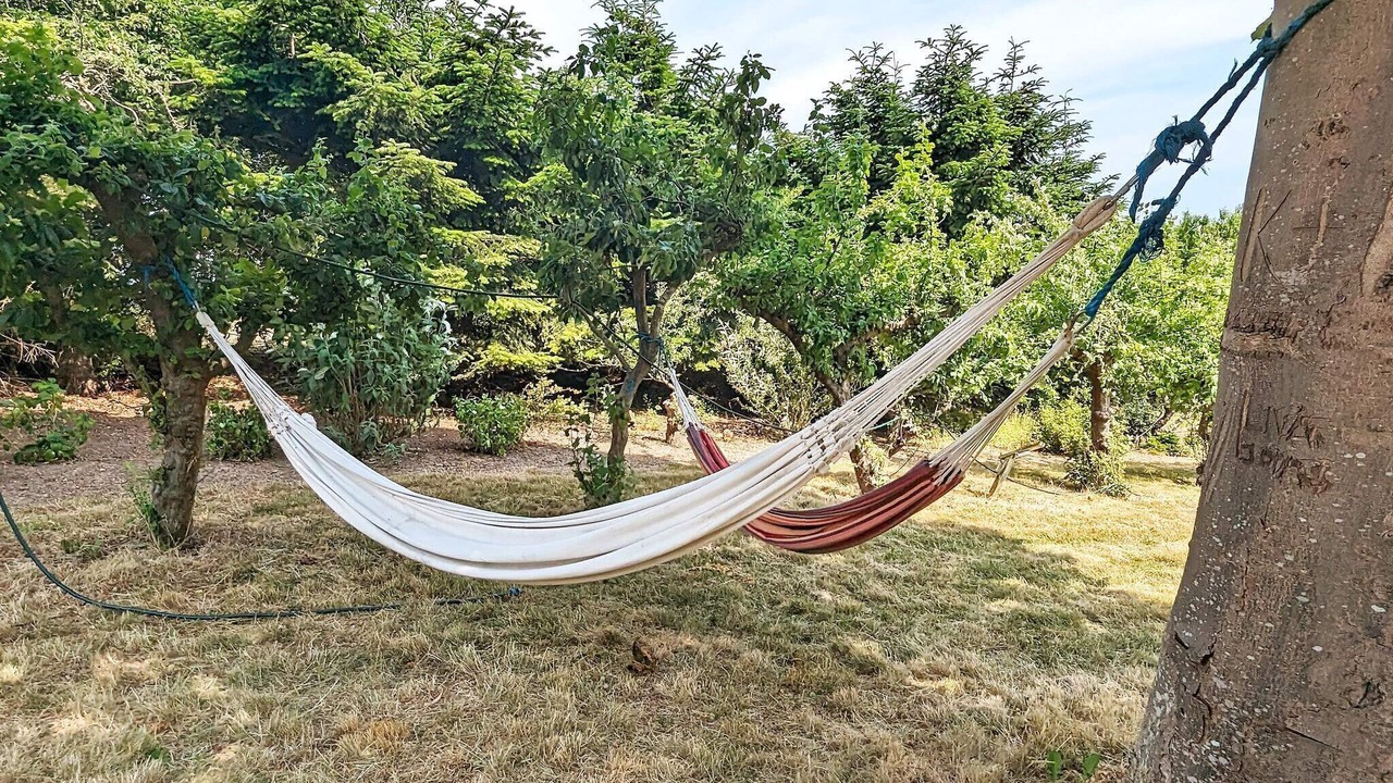 Photo of Outdoor in Soeby