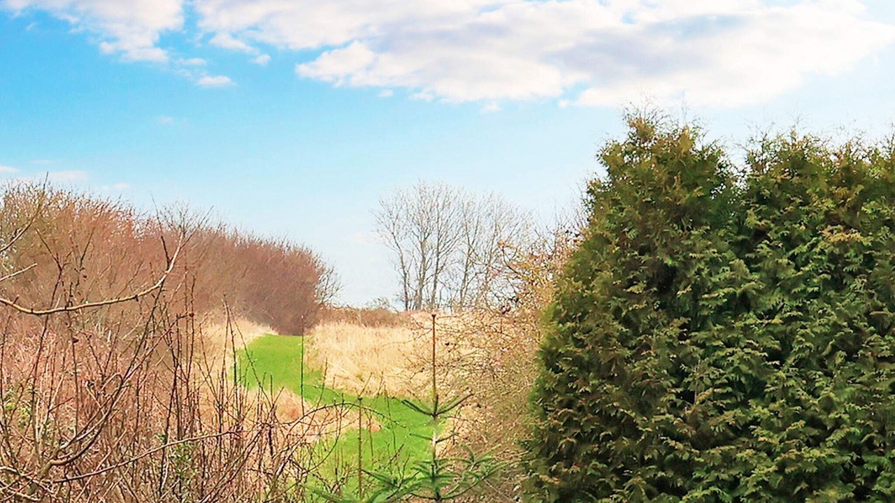 Photo of Others in Soeby