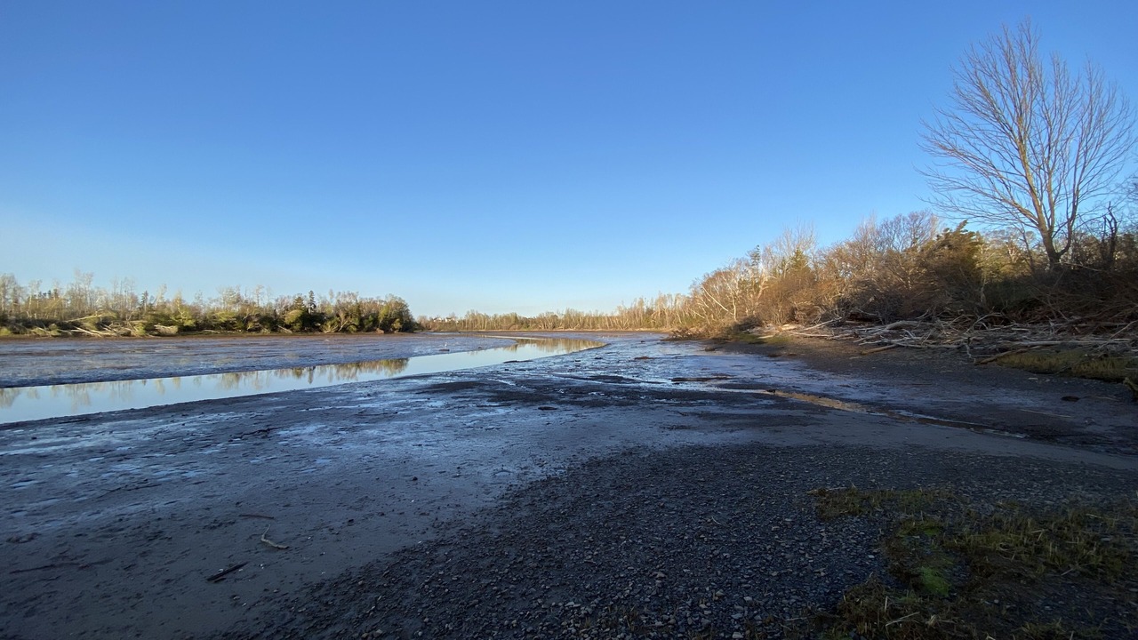 Photo of Others in Merigomish