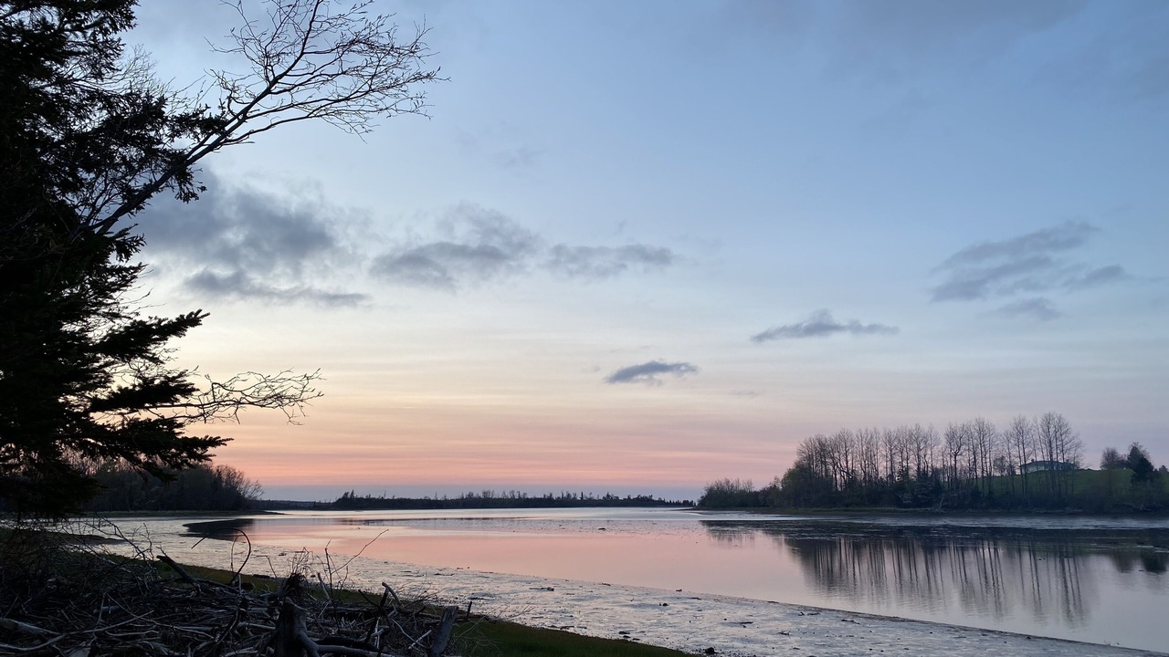 Photo of Others in Merigomish