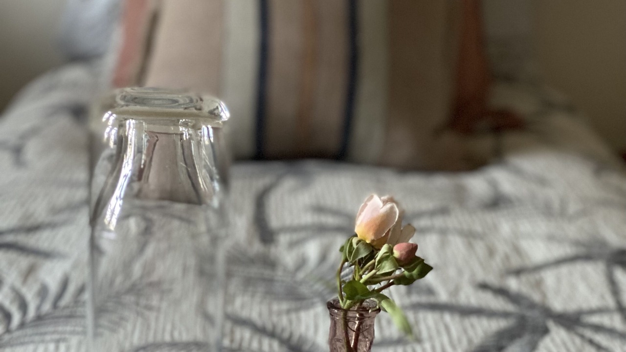 Photo of Bedroom in O'connell