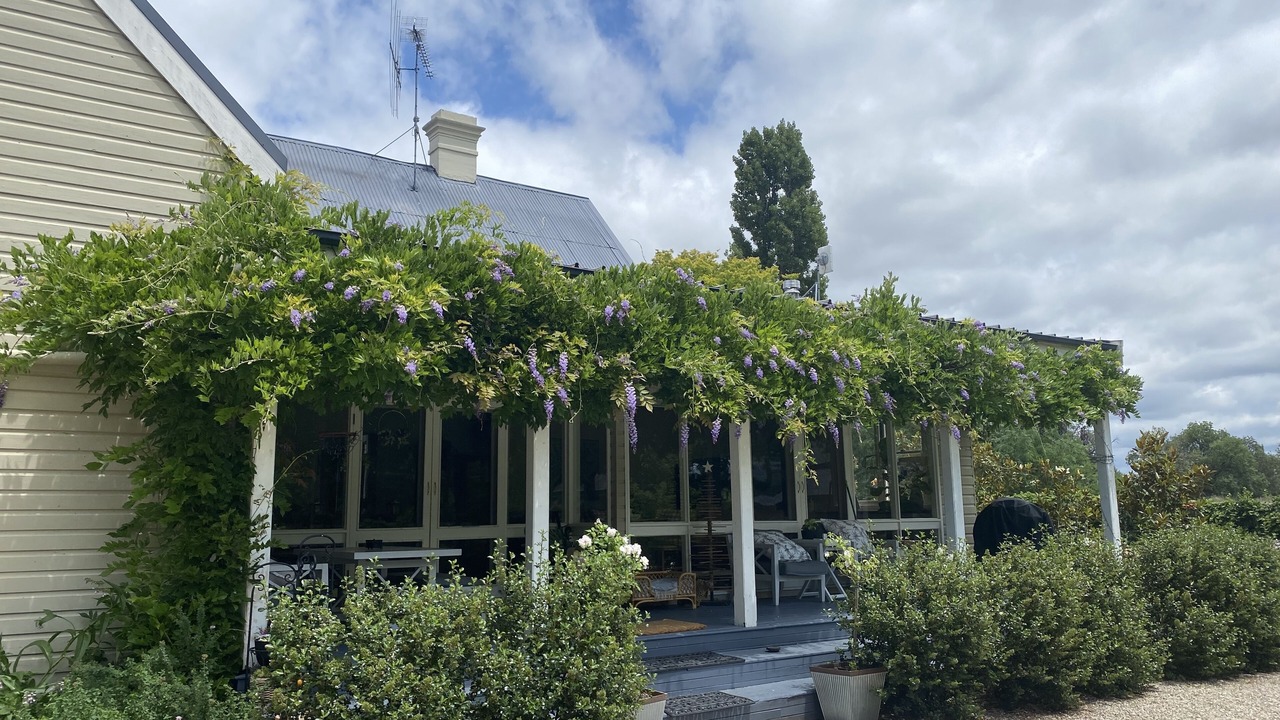 Photo of Outdoor in O'connell