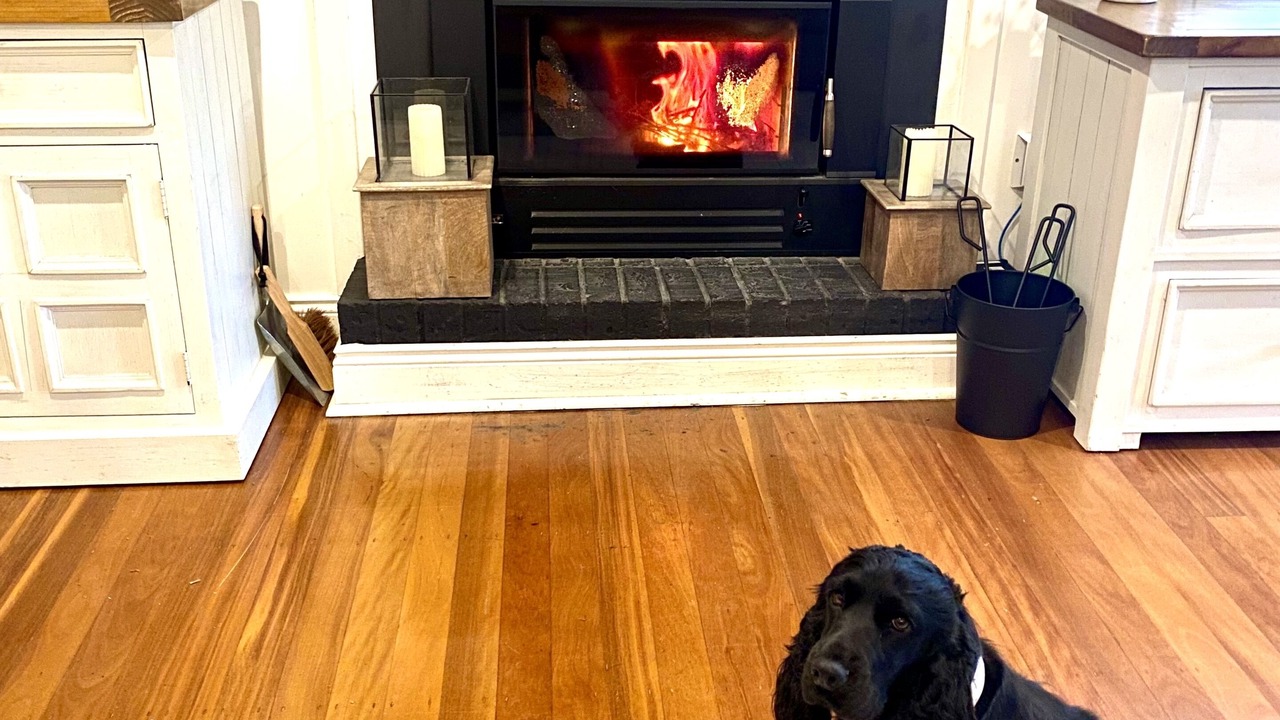 Photo of Others in O'connell