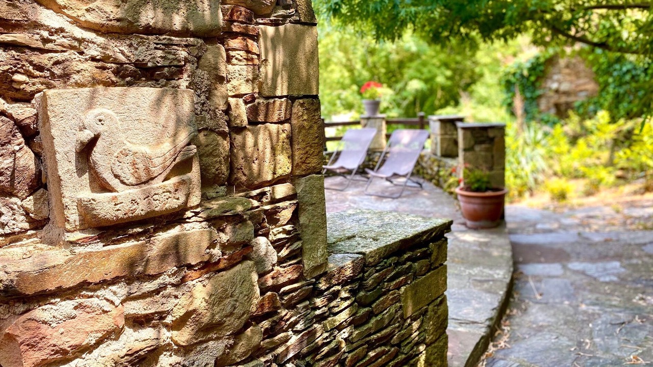 Photo of Outdoor in Brousse-le-Chateau