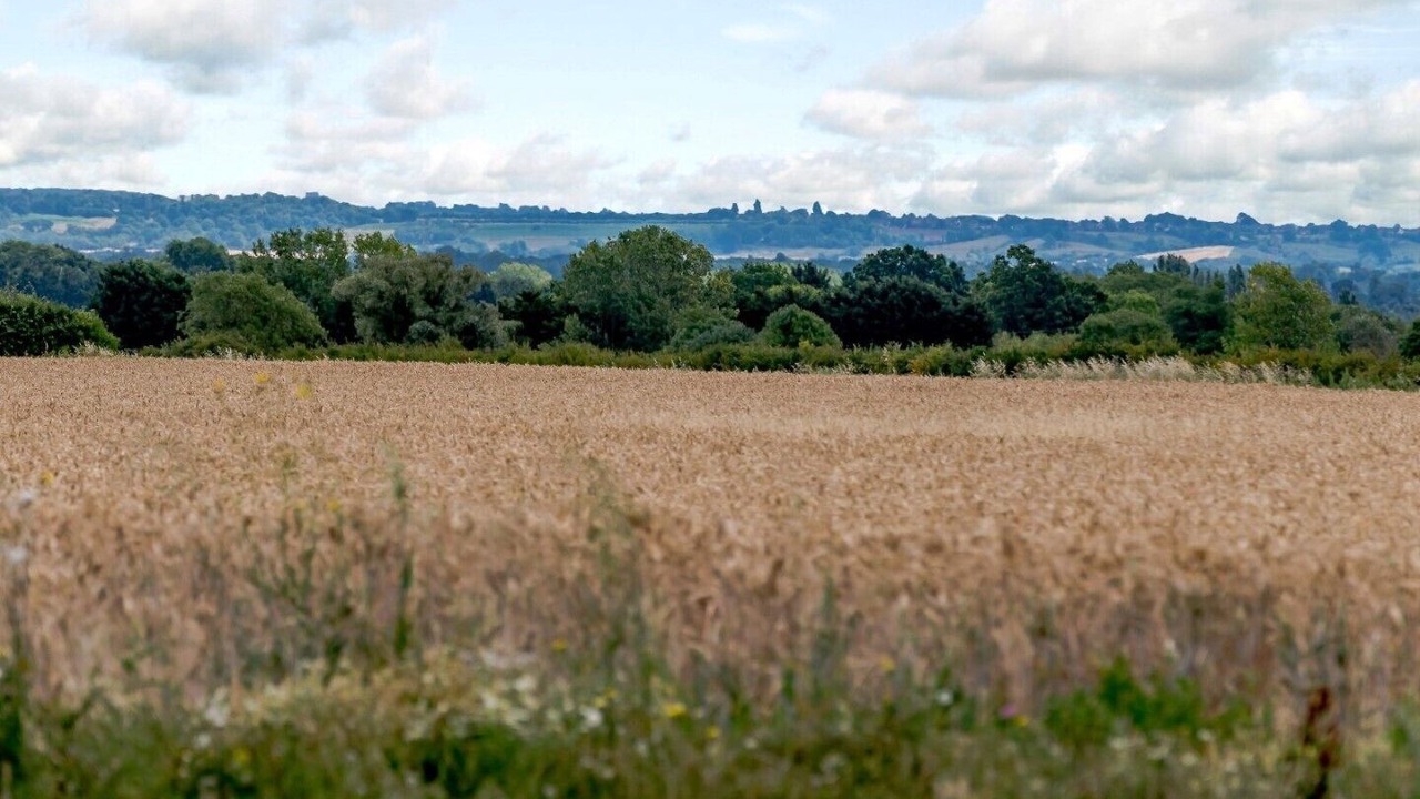 Photo of Outdoor in Bedford