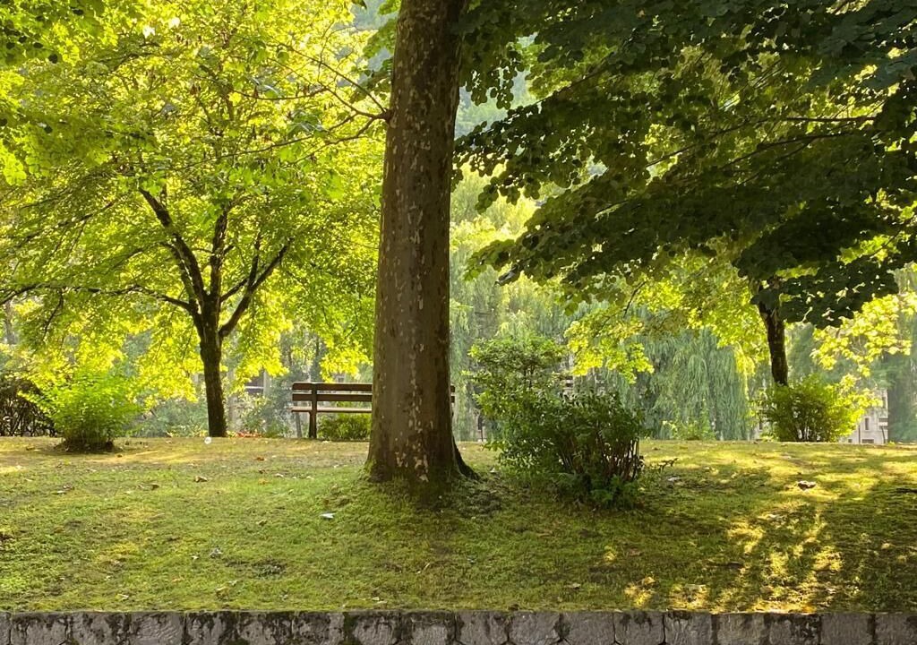 Photo of Others in Bagneres-de-Luchon