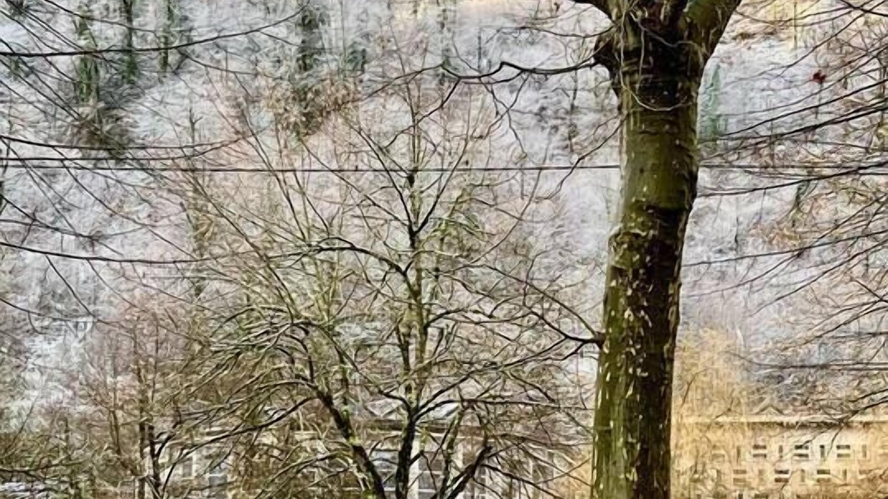Photo of Others in Bagneres-de-Luchon