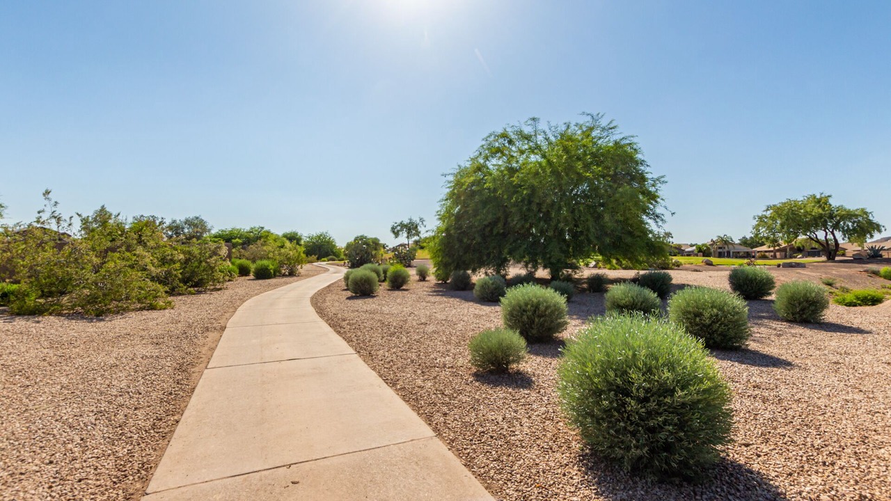Photo of Outdoor in San Tan Valley