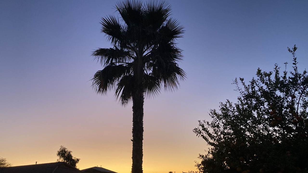 Photo of Others in San Tan Valley