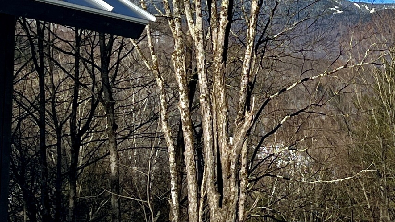 Photo of Outdoor in Warren