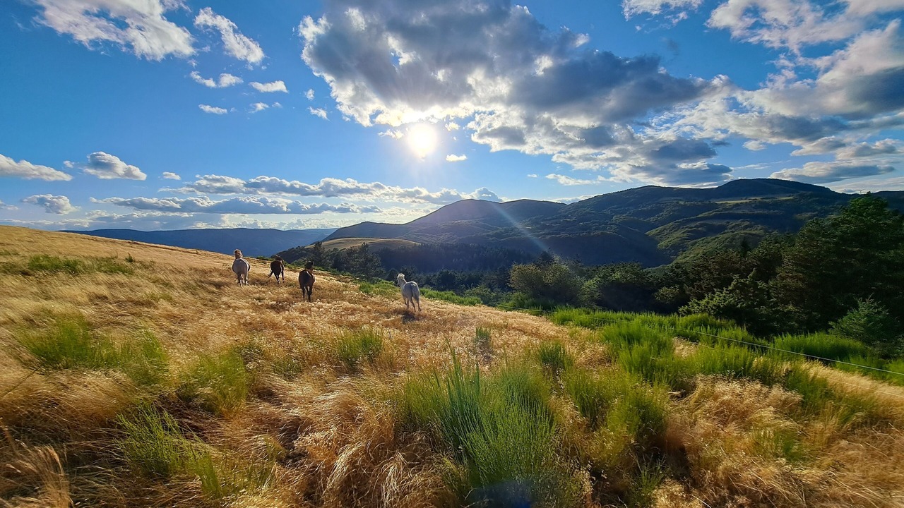 Photo of Outdoor in Melagues