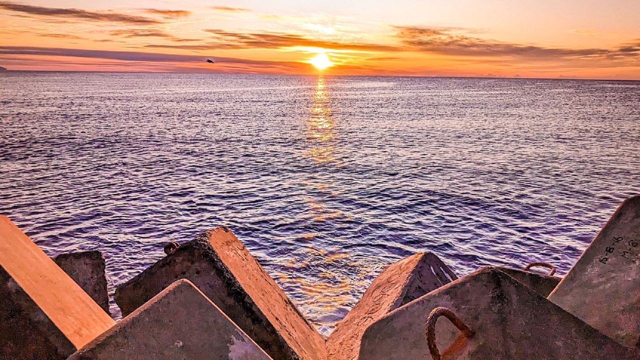 Photo of Outdoor in Forster