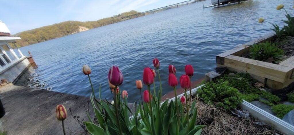 Photo of Outdoor in East Irondequoit