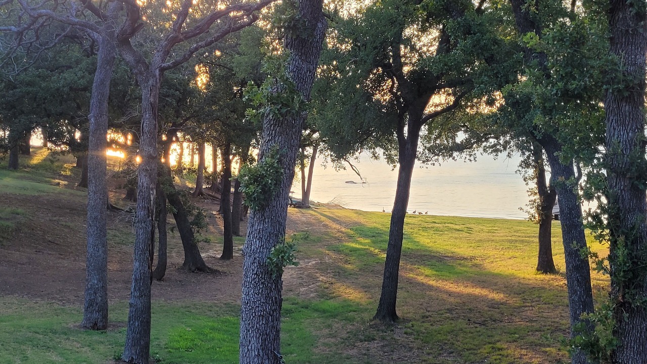 Photo of Outdoor in Little Elm