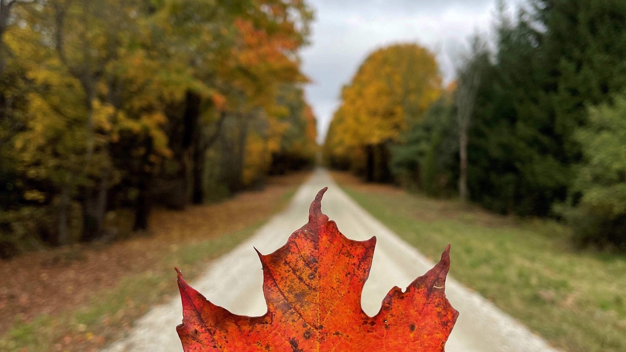 Photo of Outdoor in Collingwood