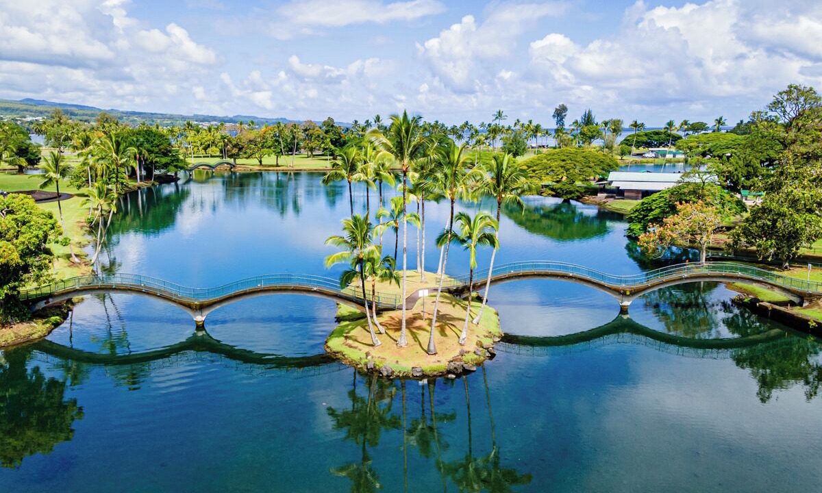 Photo of Others in Hilo