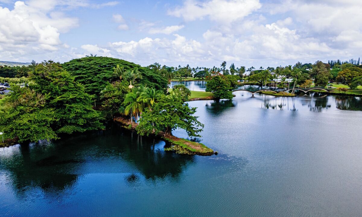 Photo of Others in Hilo