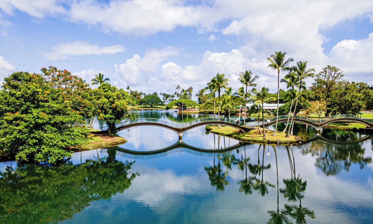 Photo of Others in Hilo