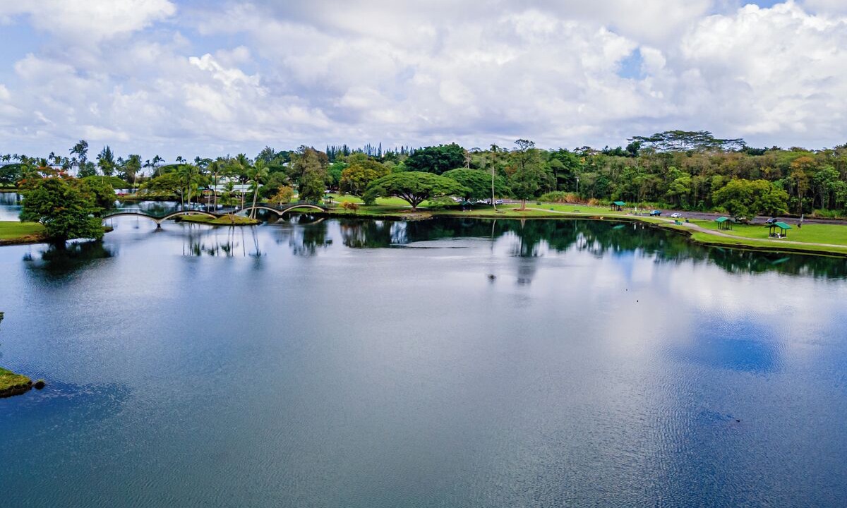 Photo of Others in Hilo