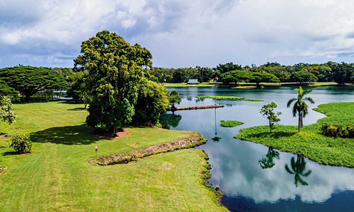 Photo of Others in Hilo