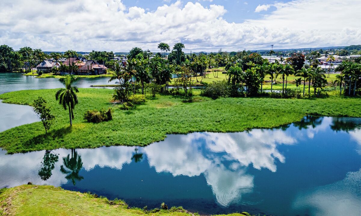 Photo of Others in Hilo