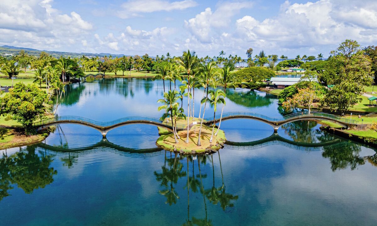 Photo of Others in Hilo