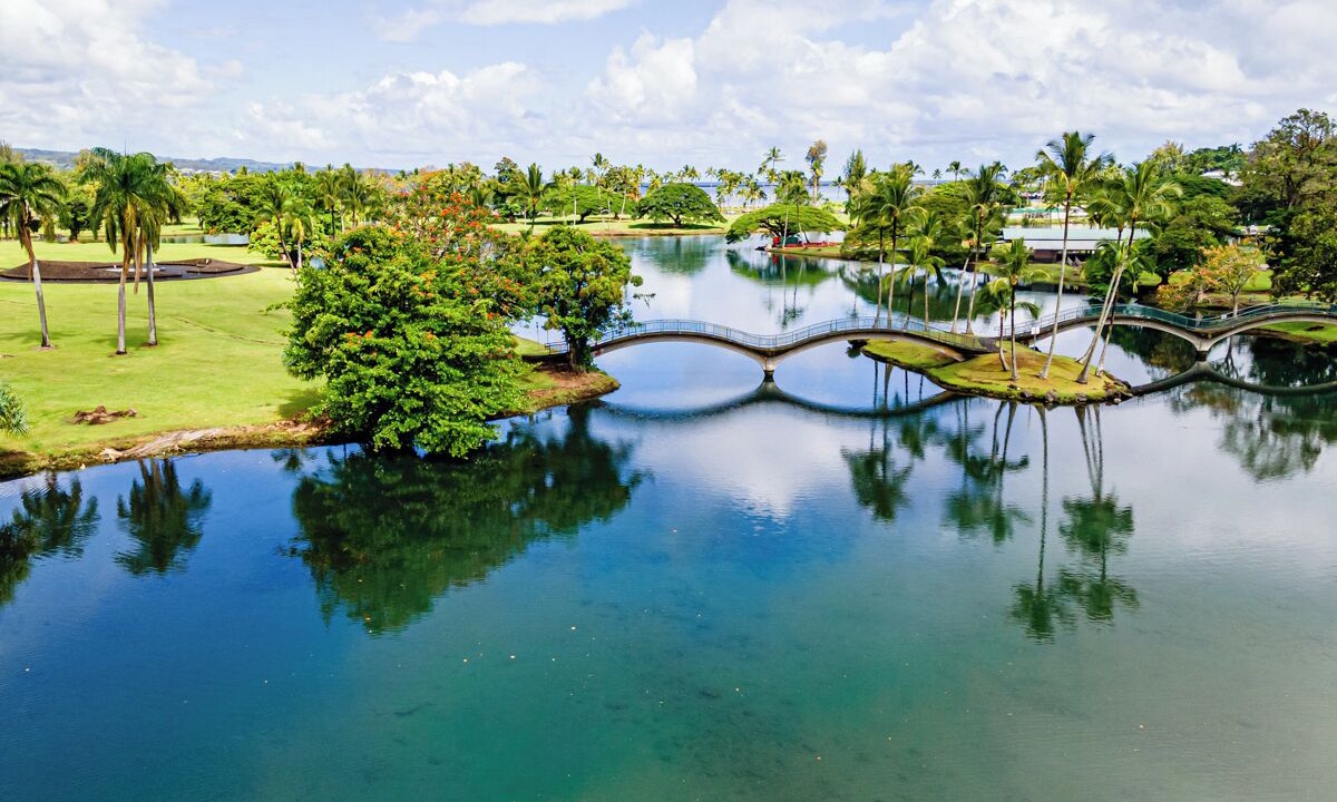 Photo of Others in Hilo