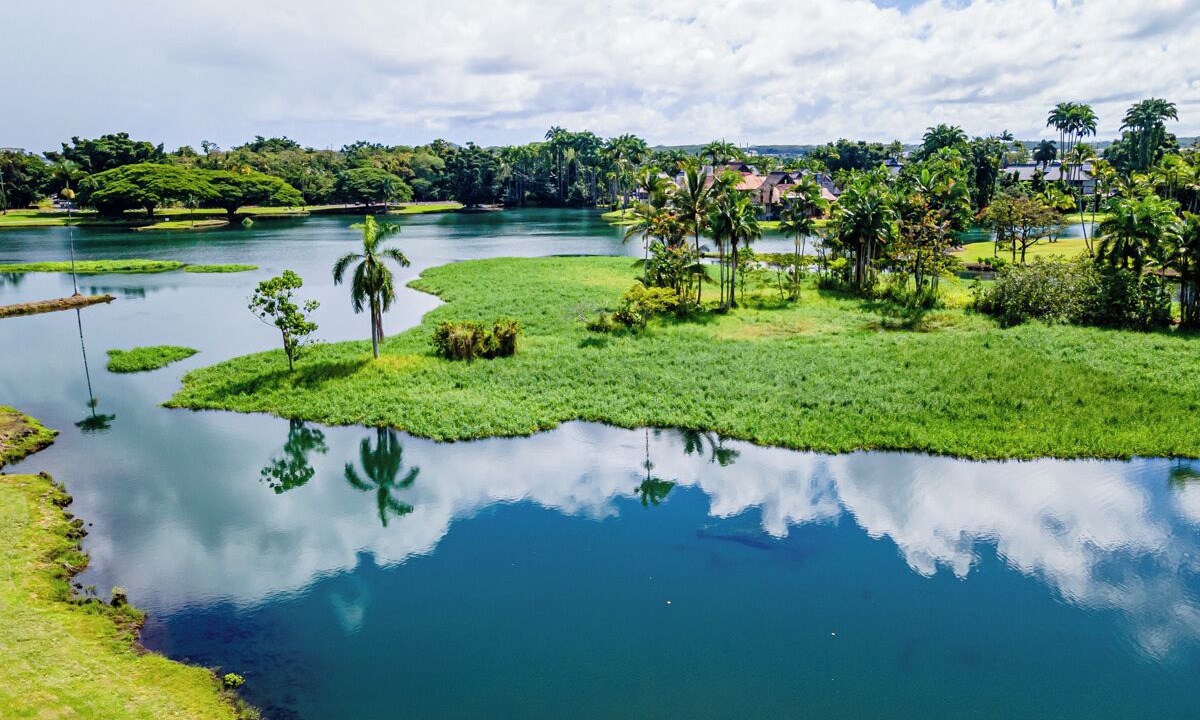 Photo of Others in Hilo