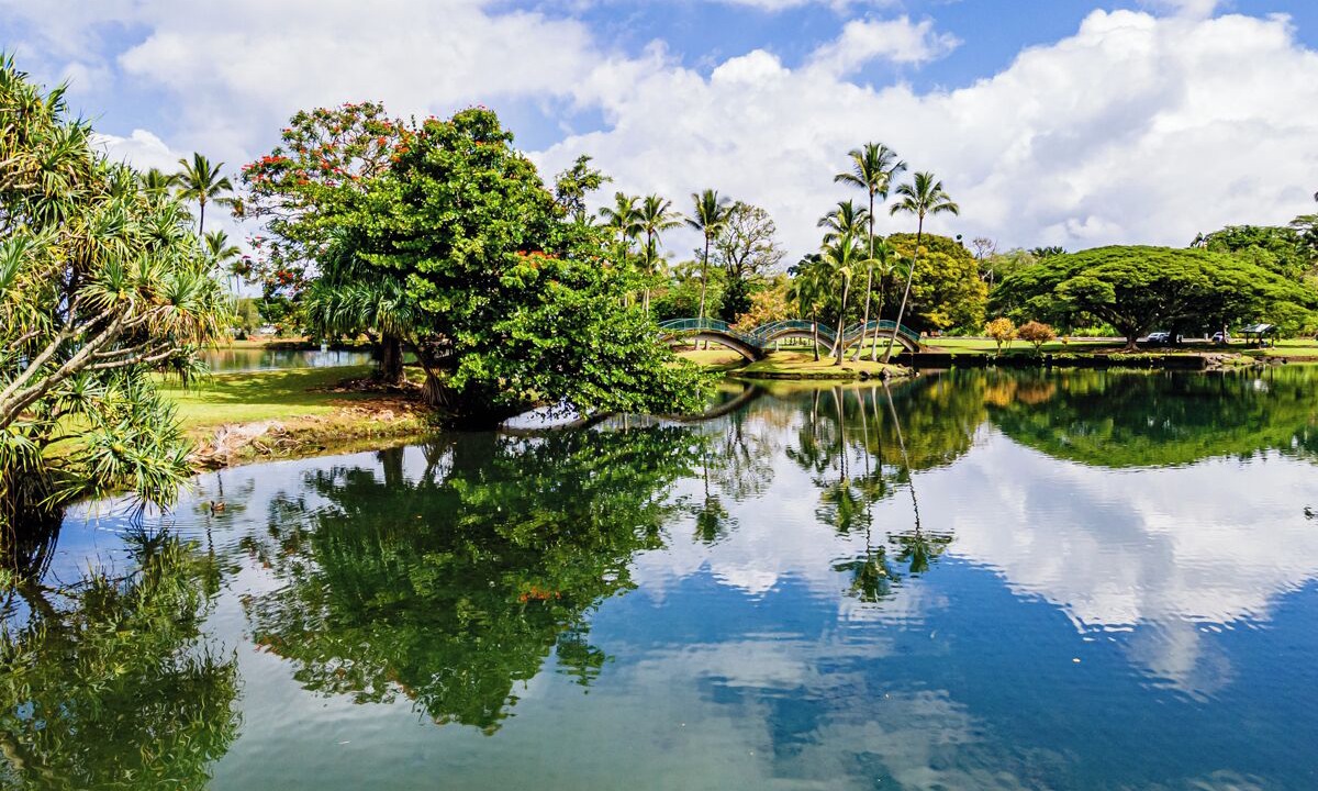 Photo of Others in Hilo