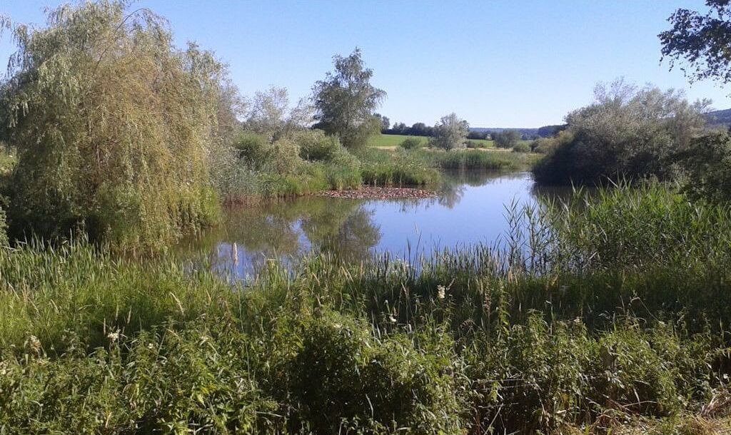 Photo of Outdoor in Le Latet