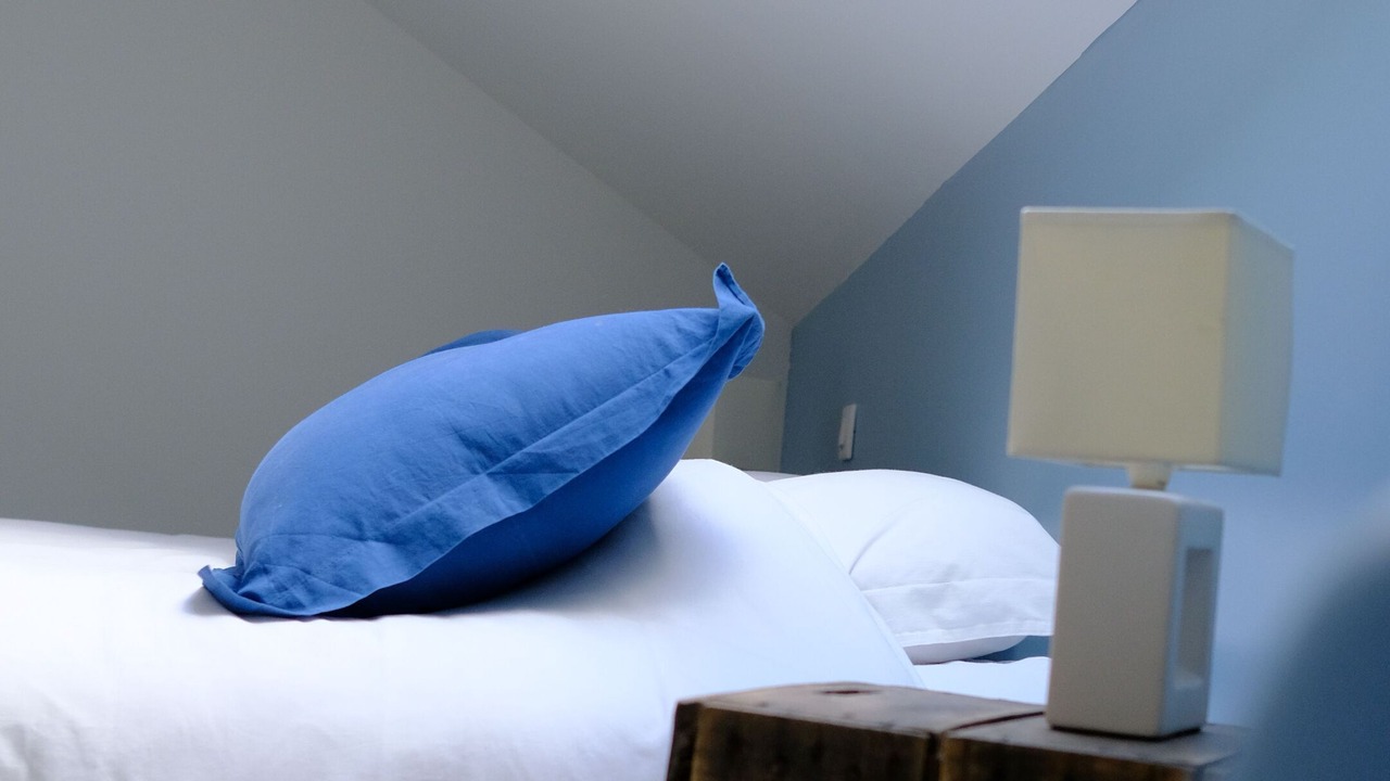 Photo of Bedroom in Anglefort
