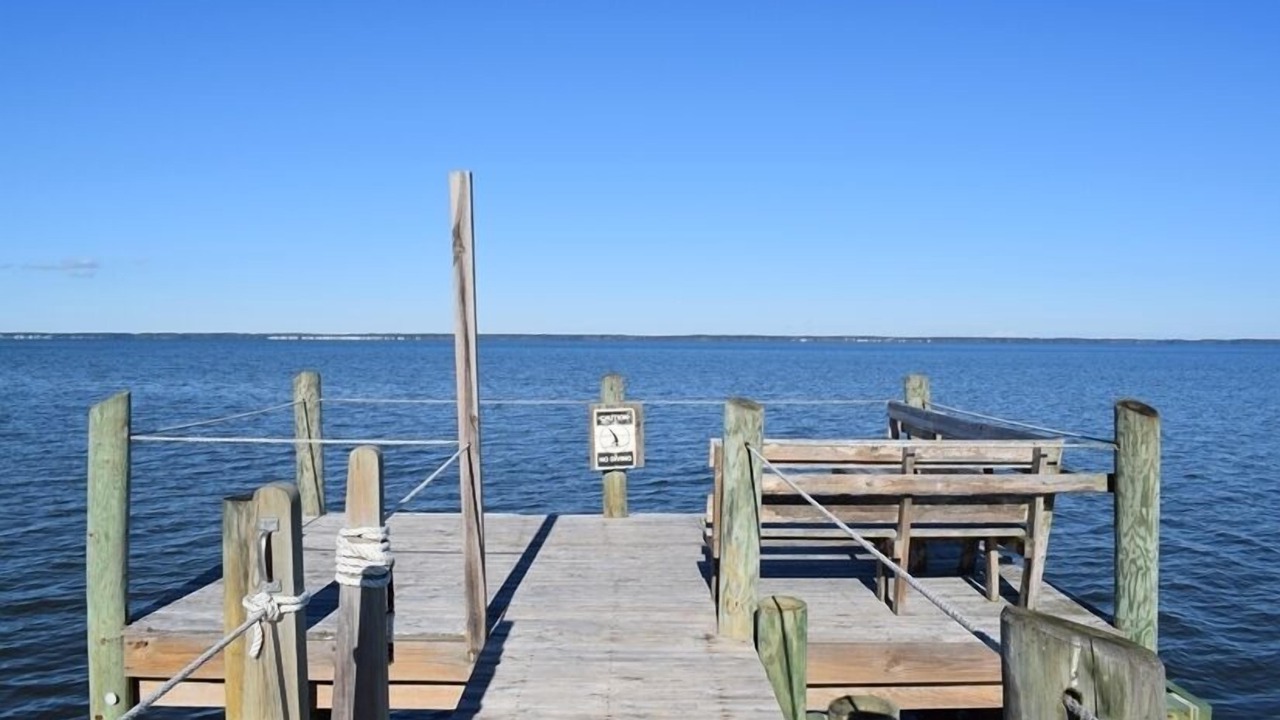 Photo of Others in Chincoteague