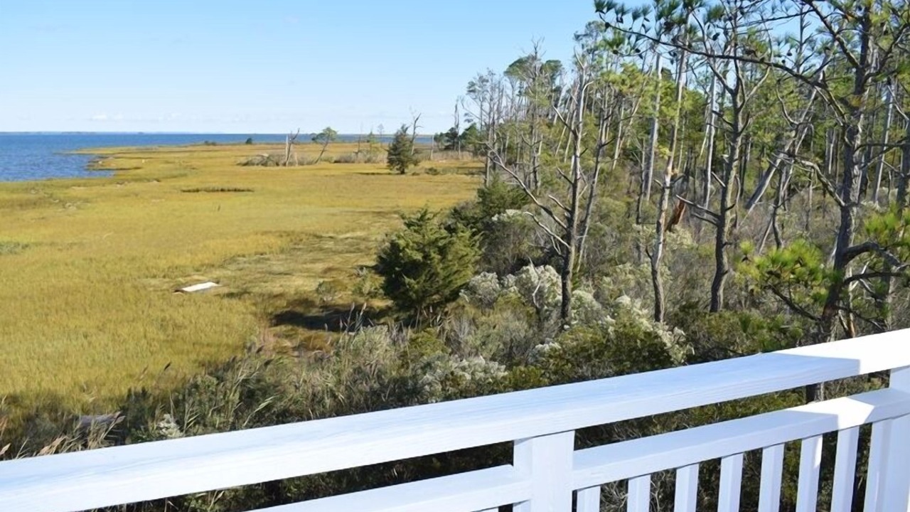 Photo of Outdoor in Chincoteague