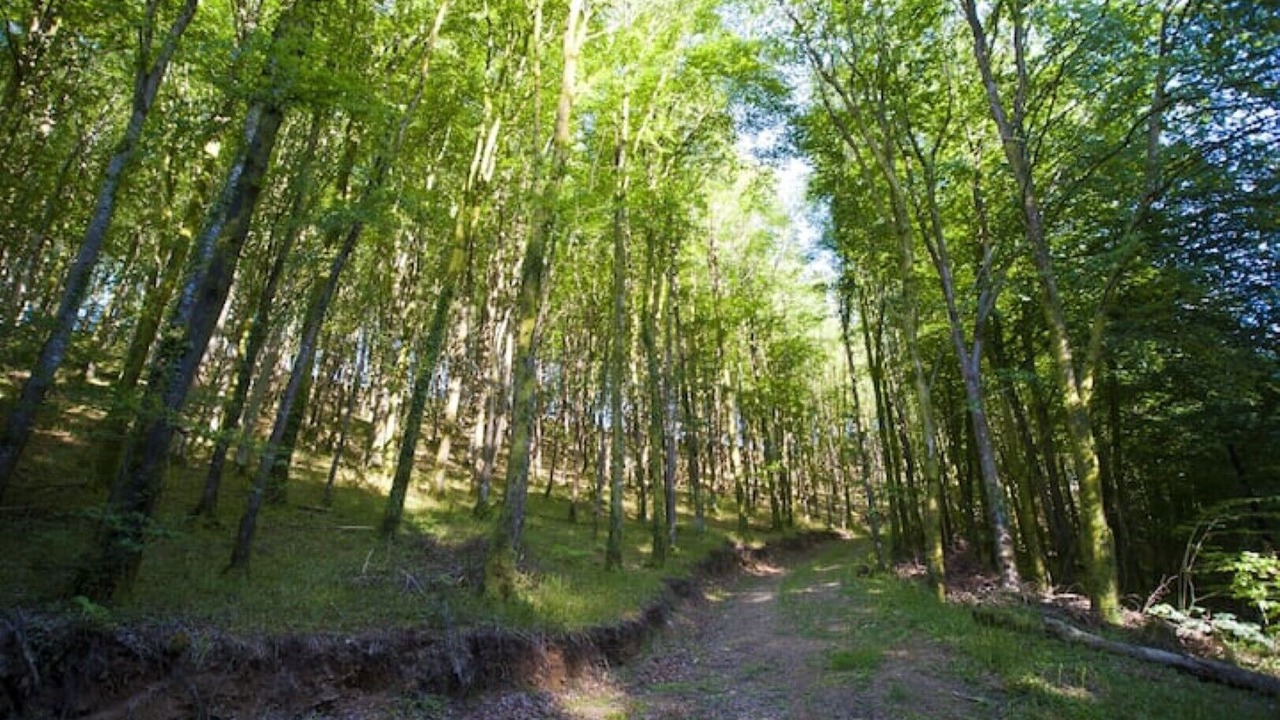 Photo of Others in Saint Breward