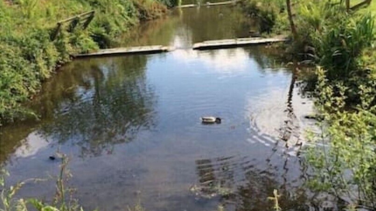 Photo of Outdoor in Saint Breward