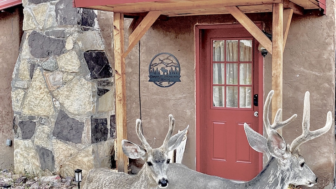 Photo of Outdoor in Ruidoso