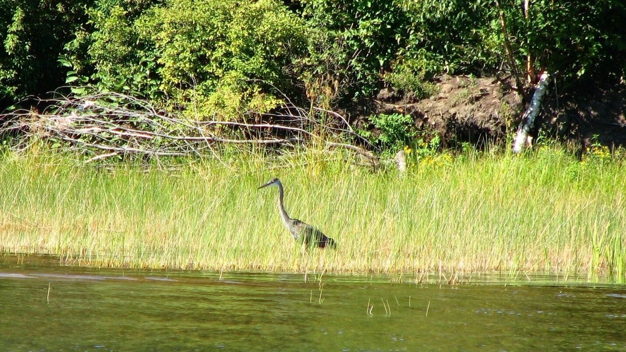 Photo of Others in Hastings Highlands