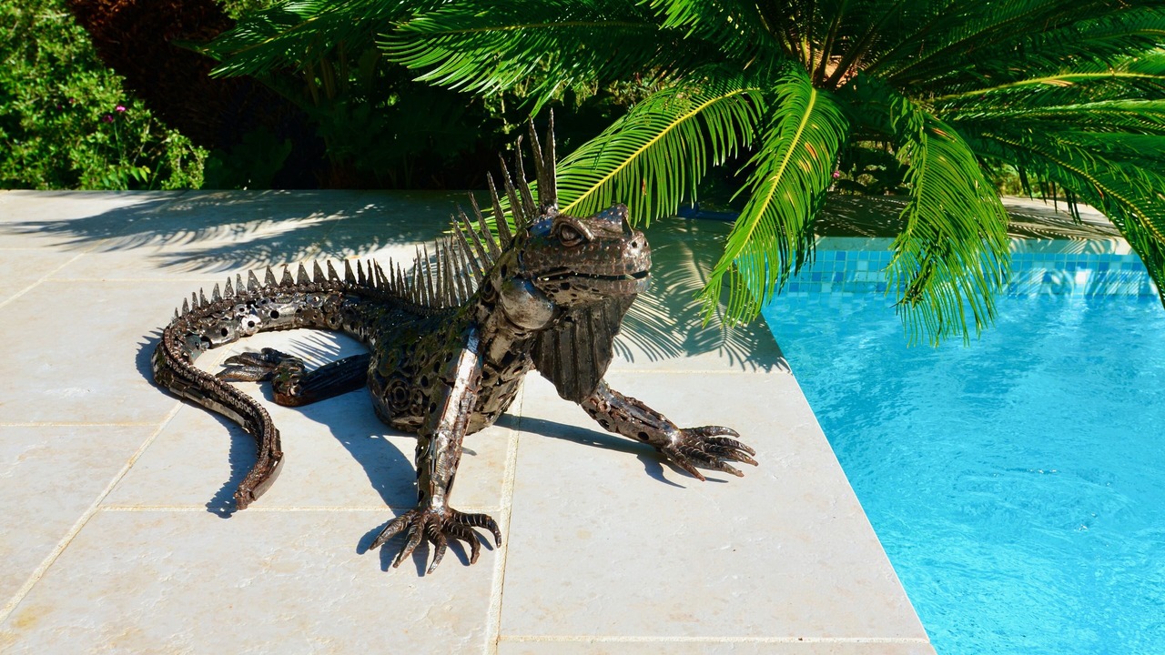 Photo of Outdoor in Peymeinade