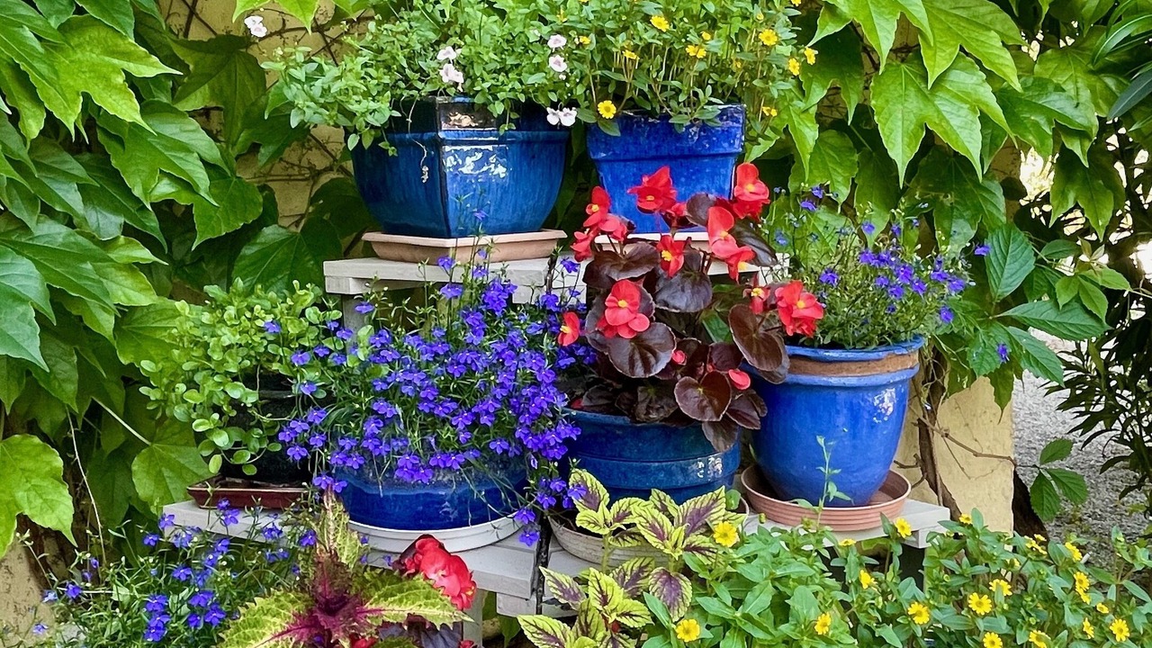 Photo of Outdoor in Peymeinade