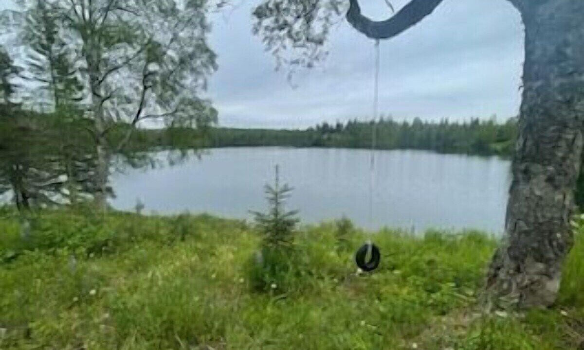 Photo of Outdoor in Nikiski