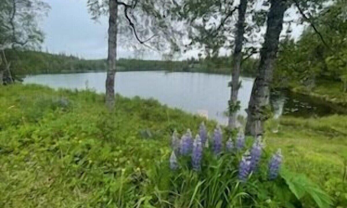 Photo of Outdoor in Nikiski