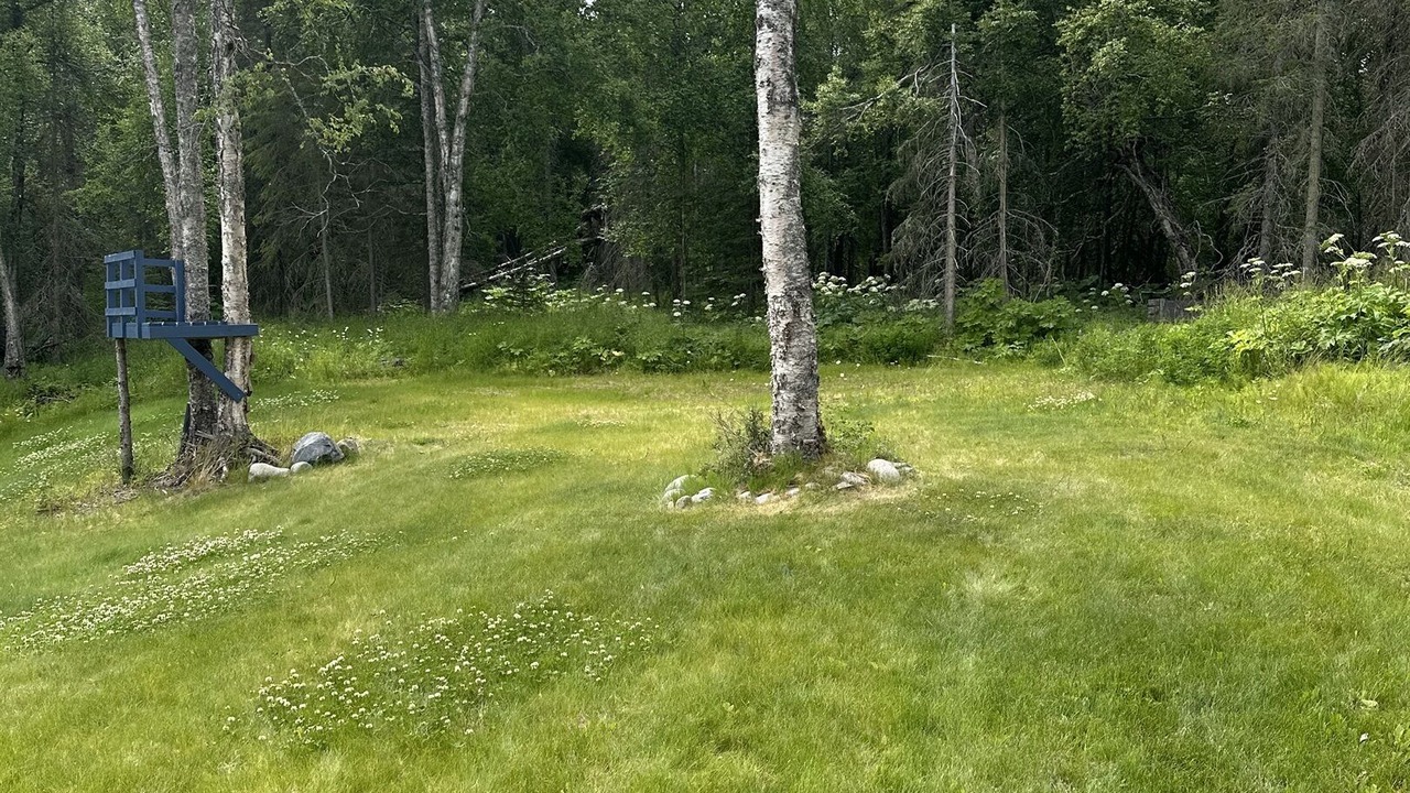 Photo of Others in Nikiski
