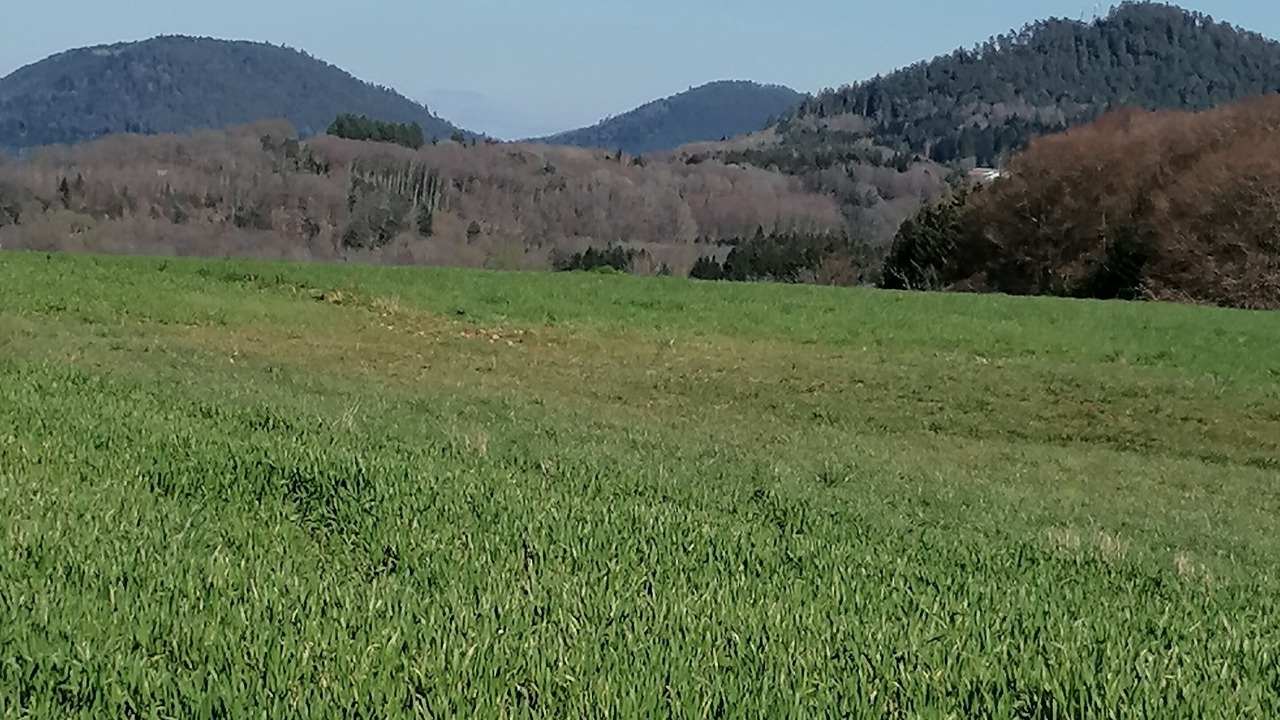 Photo of Others in Herpelmont