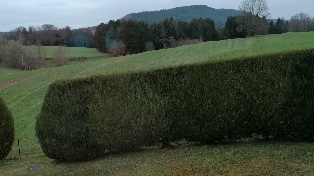 Photo of Outdoor in Herpelmont