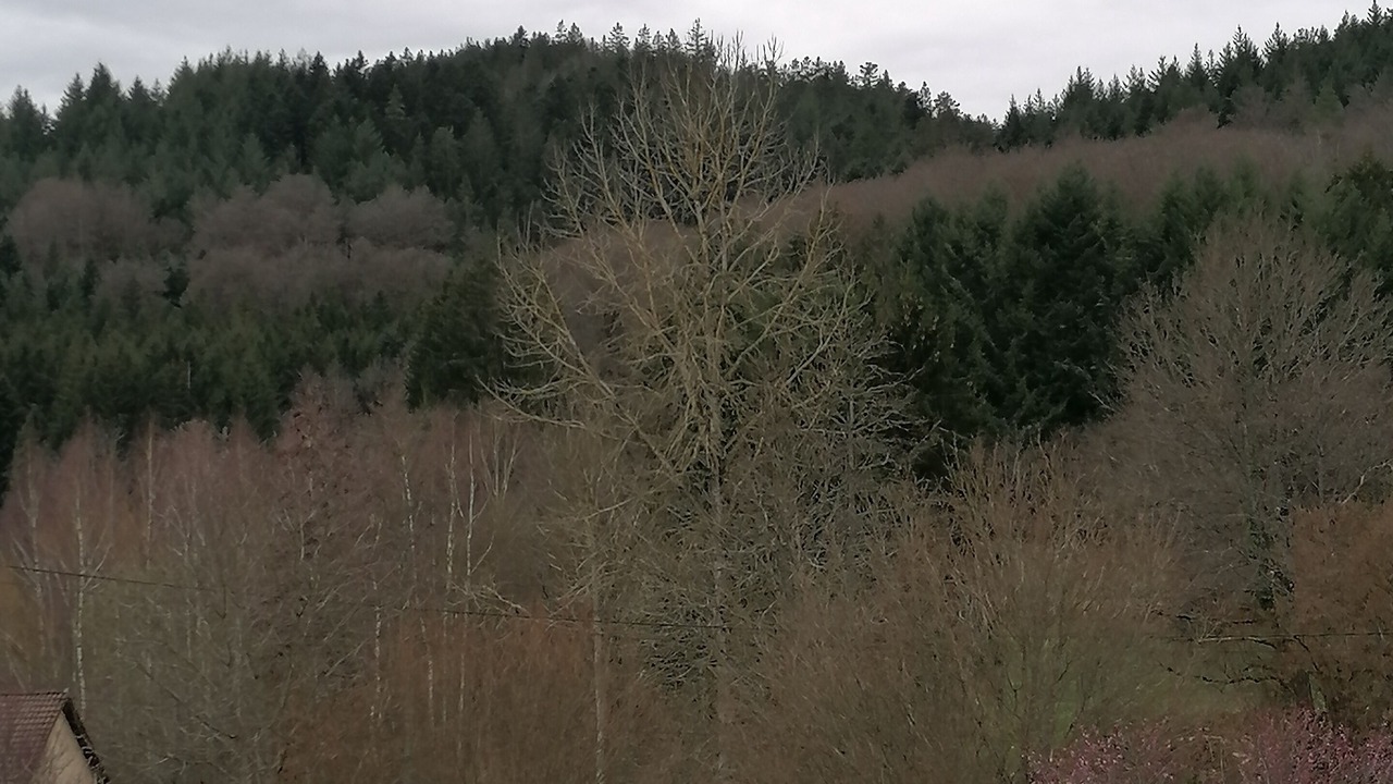 Photo of Others in Herpelmont