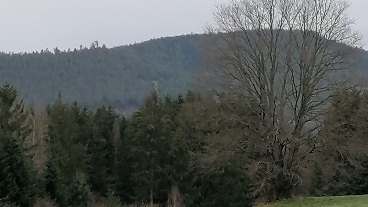 Photo of Outdoor in Herpelmont