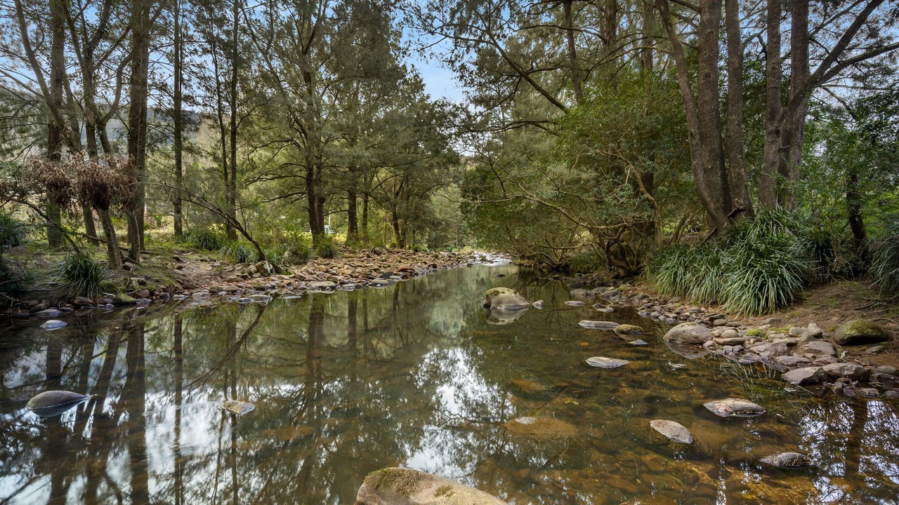 Photo of Others in Wattamolla