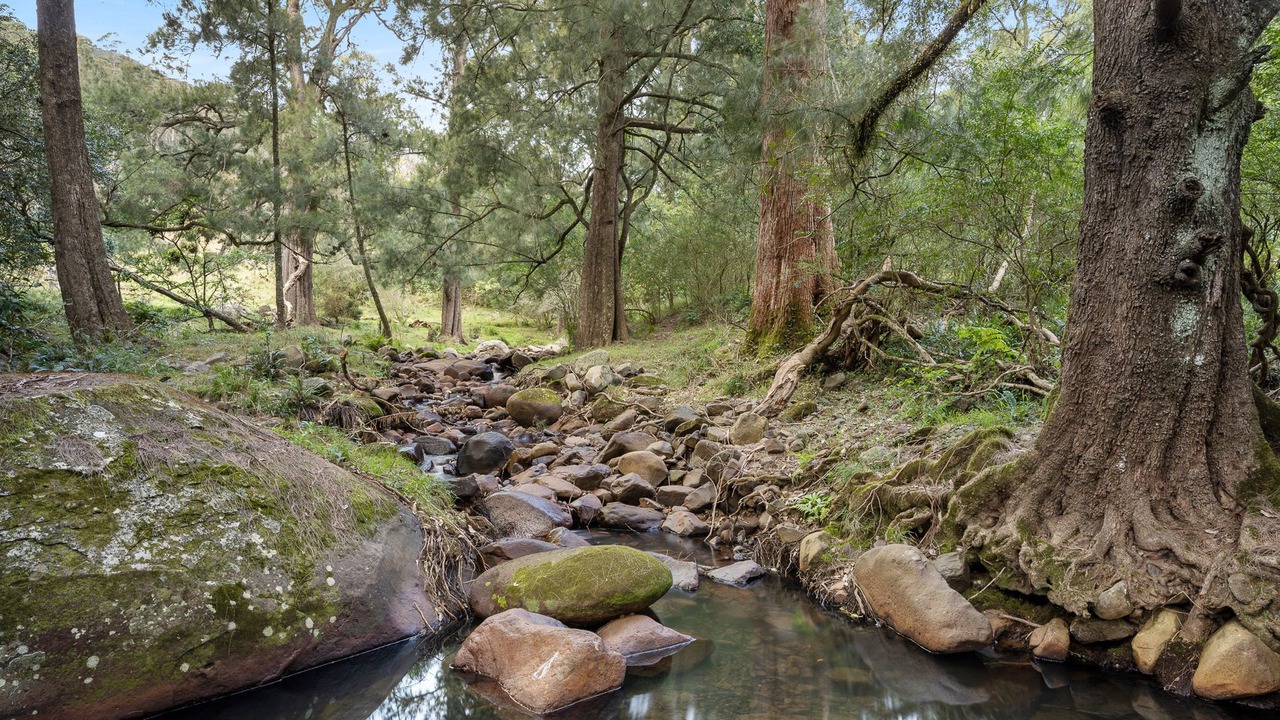 Photo of Outdoor in Wattamolla
